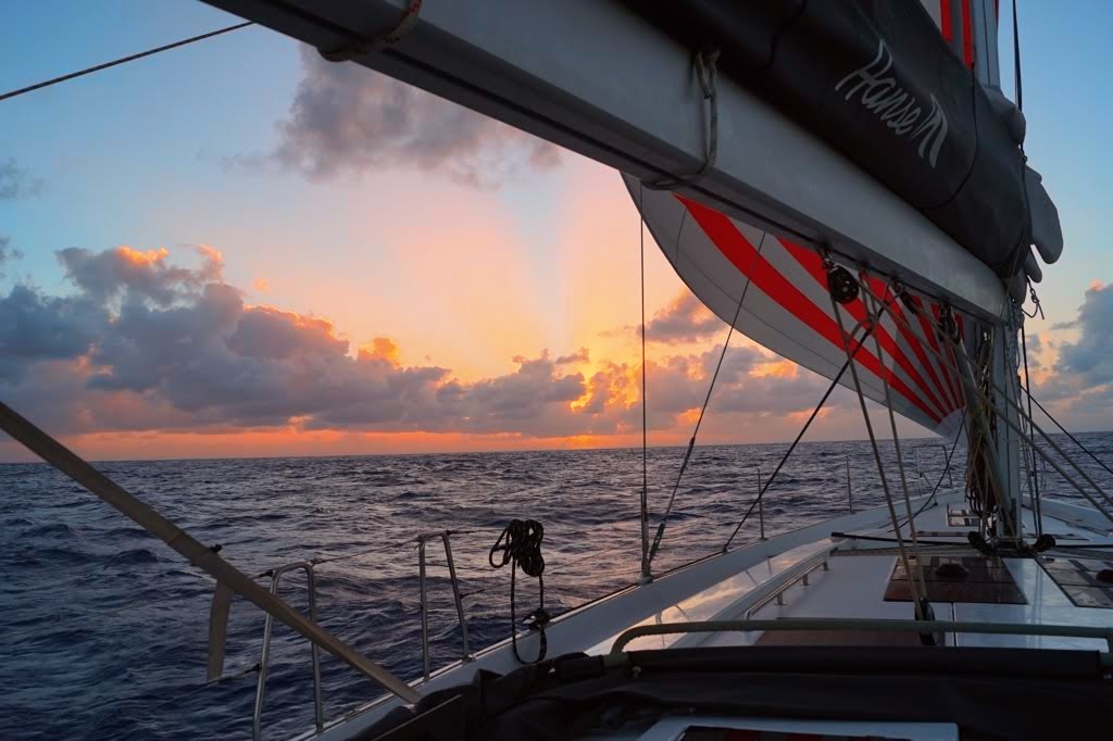 Sailing Through Life’s Uncertainties: A Dream Analysis