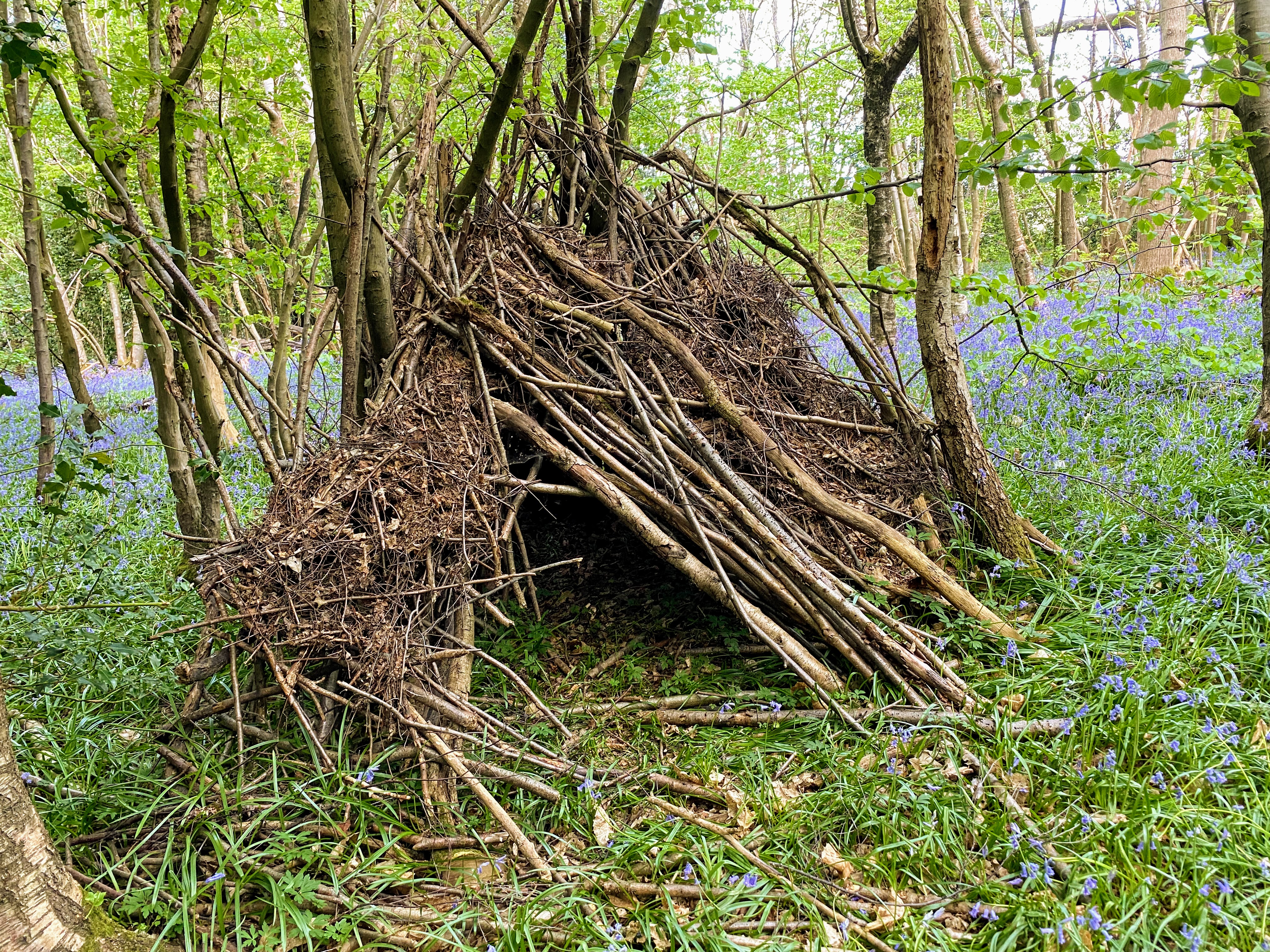 Discovering the Hidden World of Watersprites