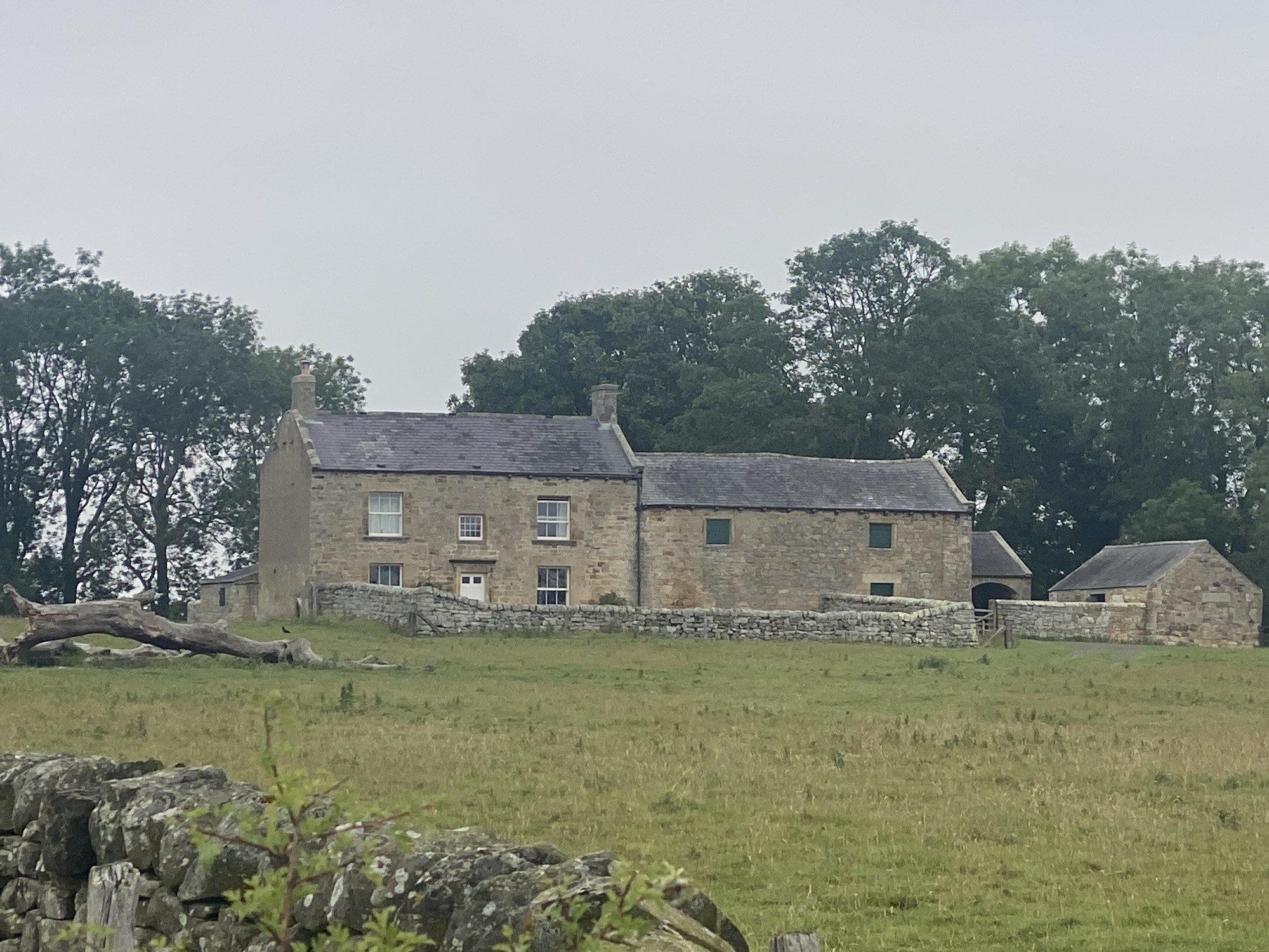Exploring the Ancient Trees of Belsay: A Bridlepath Journey