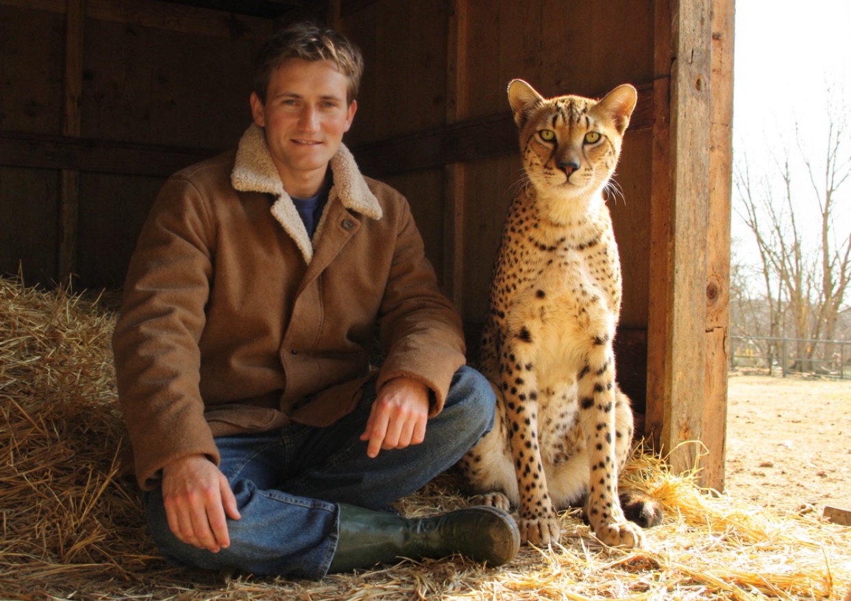 Exploring Jungian Symbols in Dreams