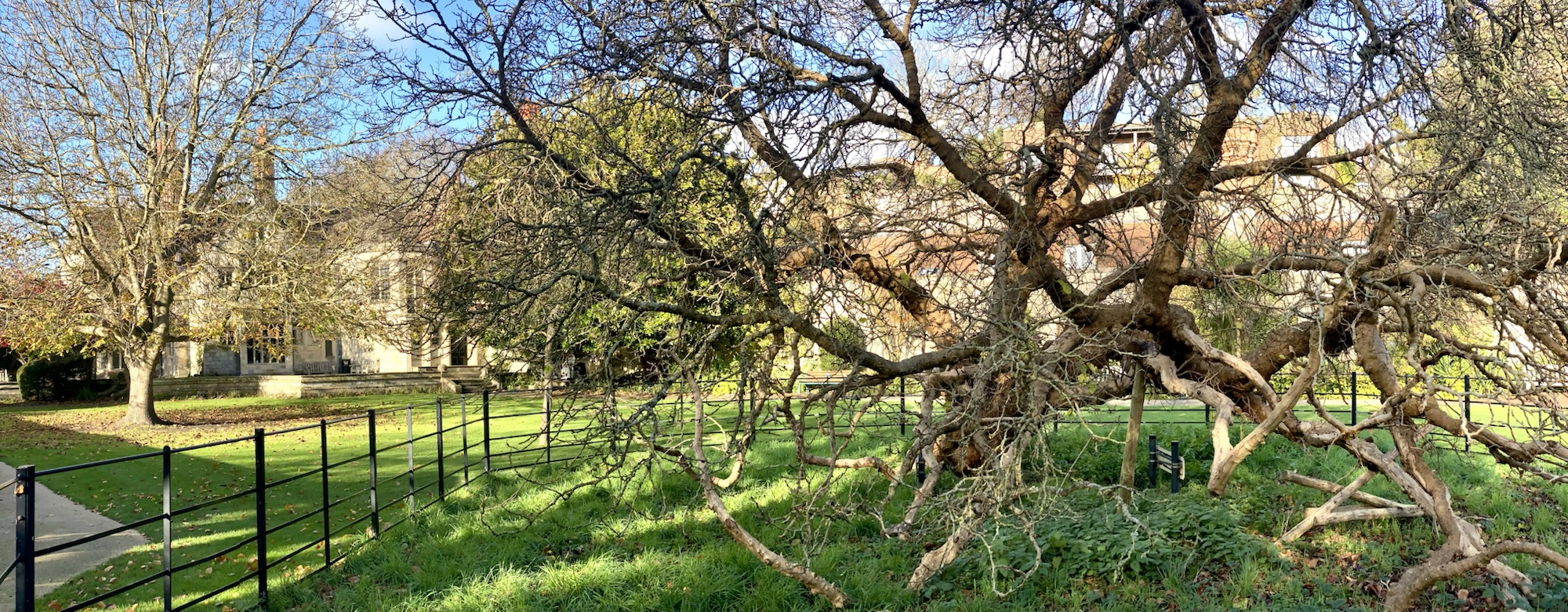 The Green Heart of Lewes: Southover Grange Gardens