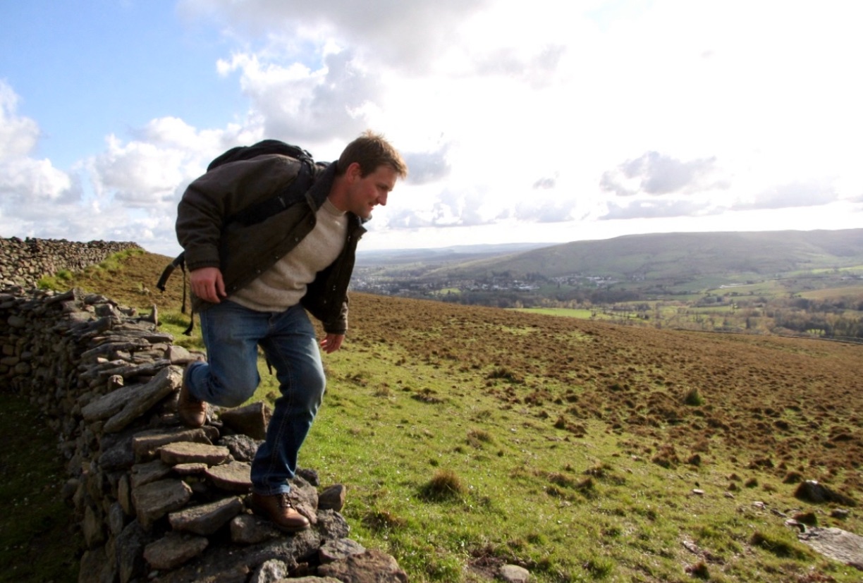 From Retrieval to Reflection: A Jungian Dream Analysis