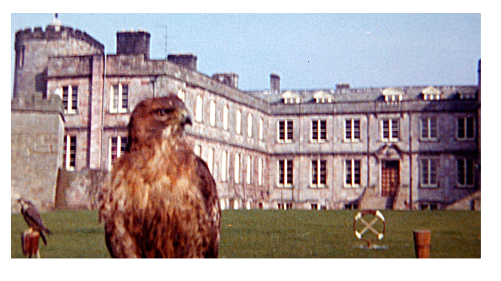 An eagle in front of Appleby Castle