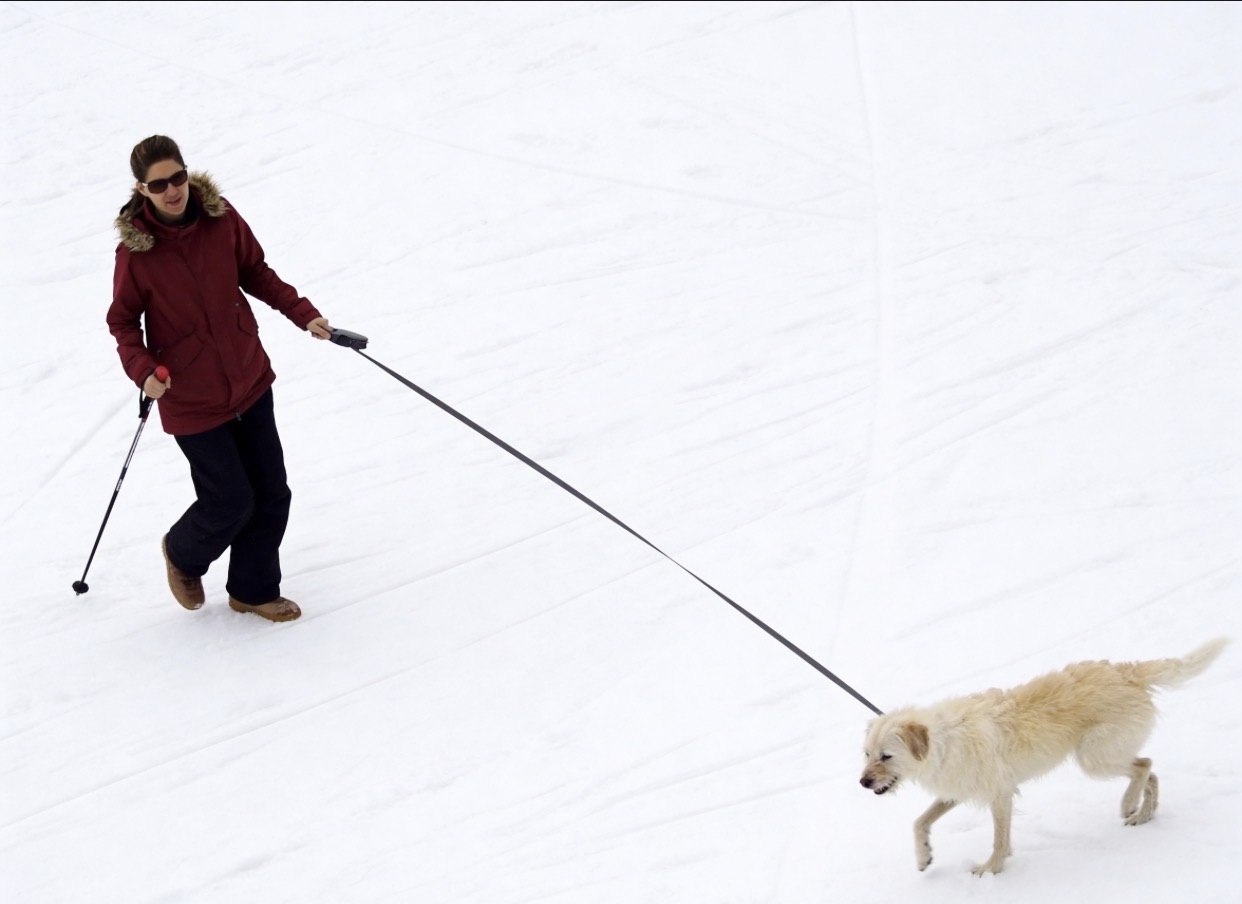 A Lifetime of Steadiness