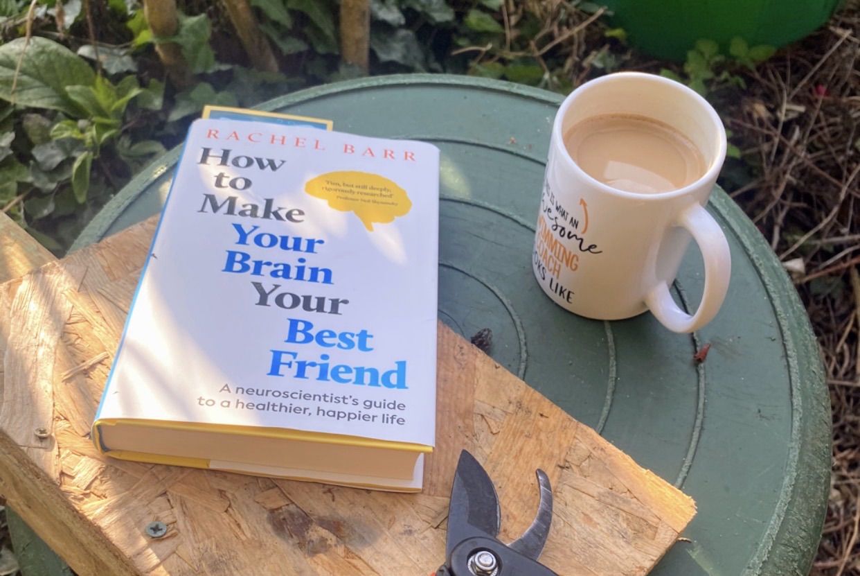 Reading Rachel Barr: Blog, Substack, Instagram and Lessons from Neuroscience