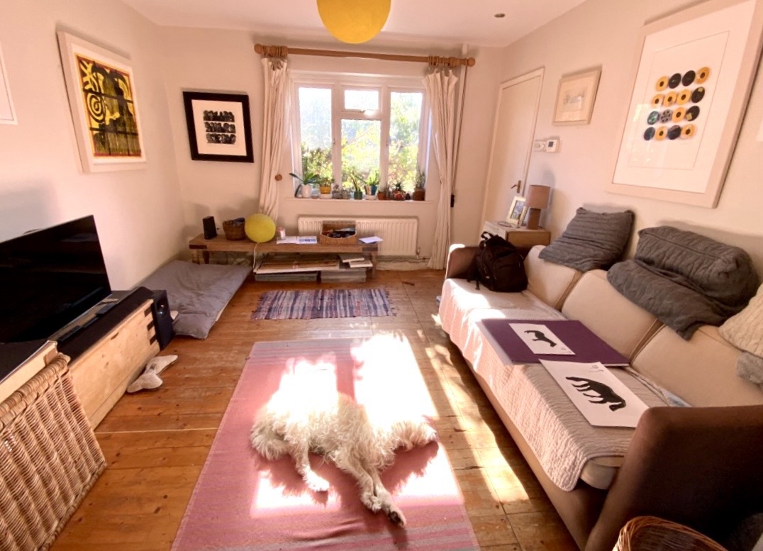 Dog Freindly Habitat